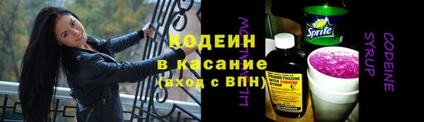 эйфоретик Ельня