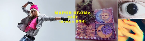 эйфоретик Ельня
