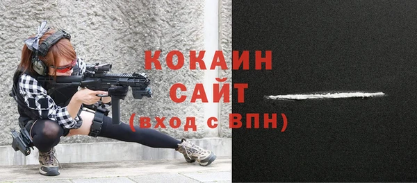 эйфоретик Ельня