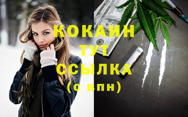 эйфоретик Ельня