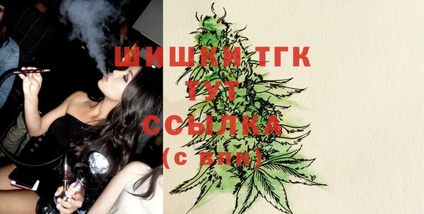 spice Елабуга