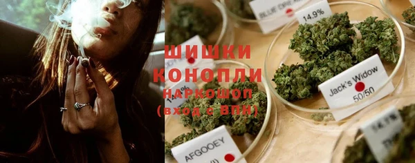 spice Елабуга