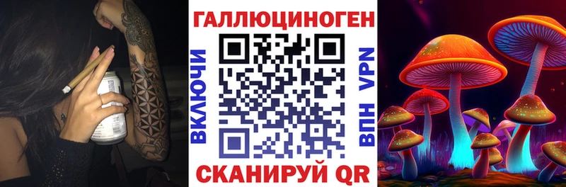 закладка  Нелидово  Псилоцибиновые грибы GOLDEN TEACHER 